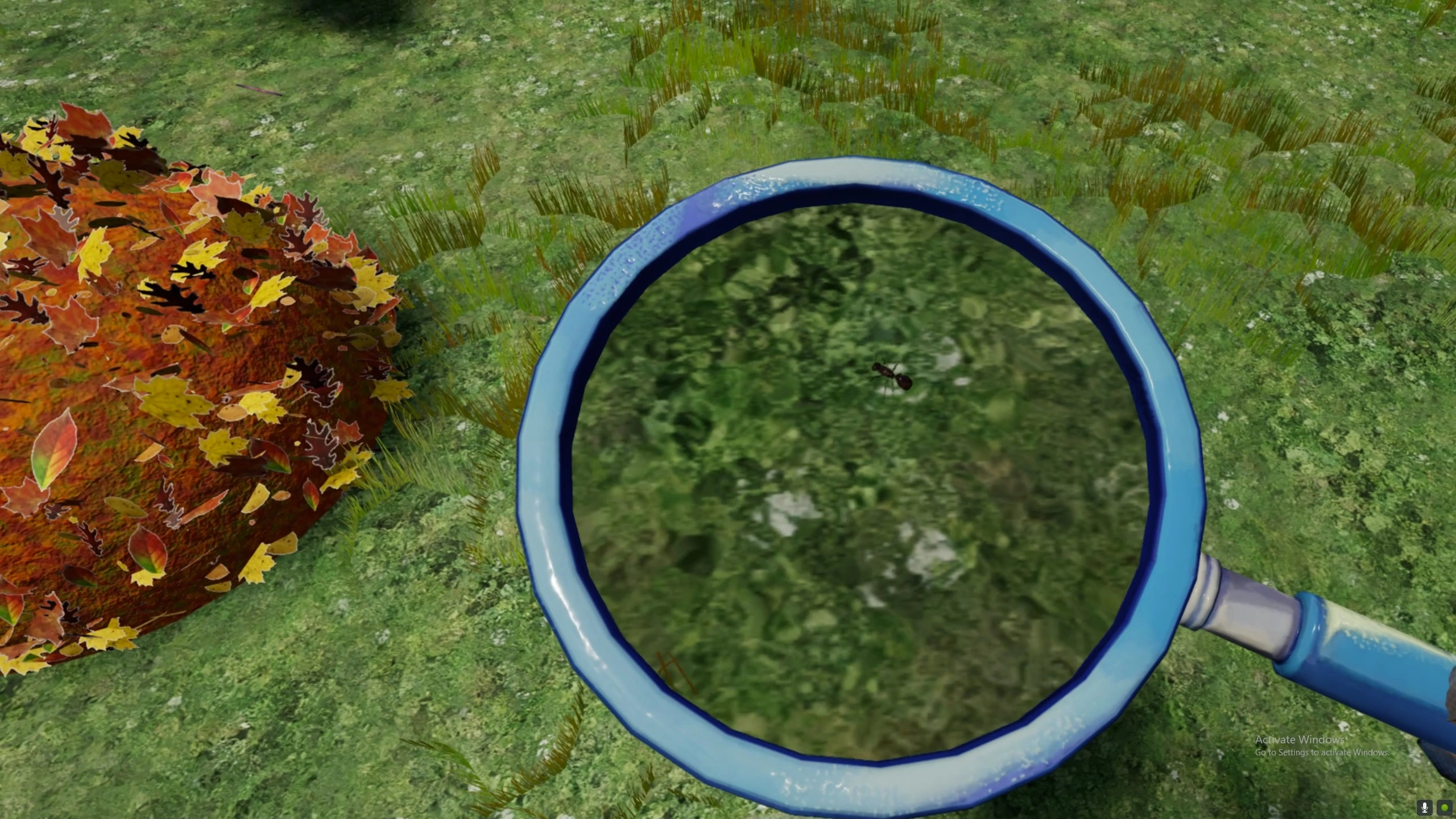 MagnifyingGlass_Picture